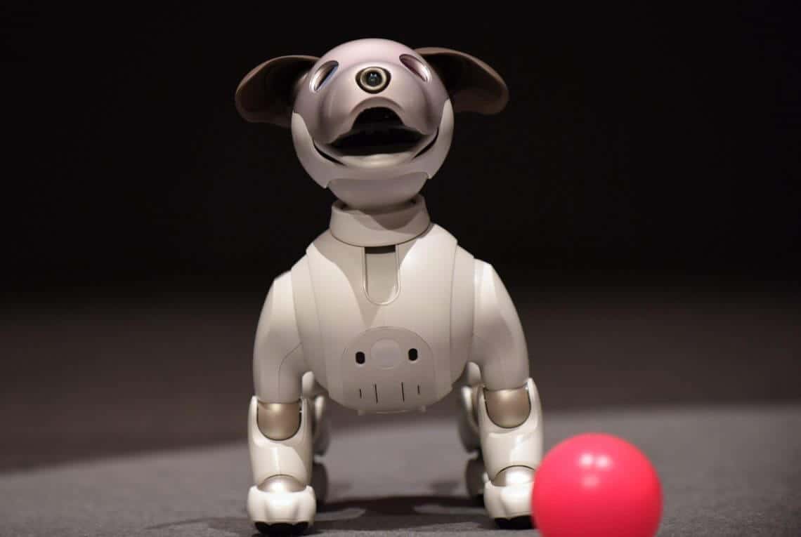 Aibo: Sony Presented The Robot Dog Equipped With Artificial ...