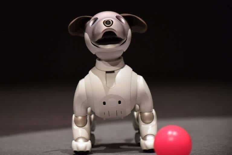 $3000 sony aibo robot dog