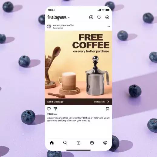 Instagram Advertising