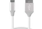 USB-C vs Lightning Cable