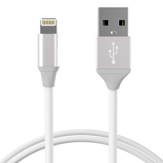 USB-C vs Lightning Cable